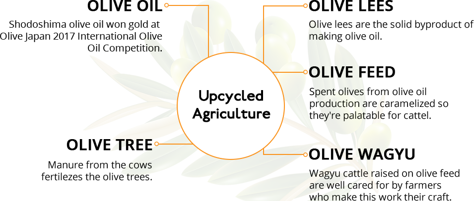 upcycled agriculture